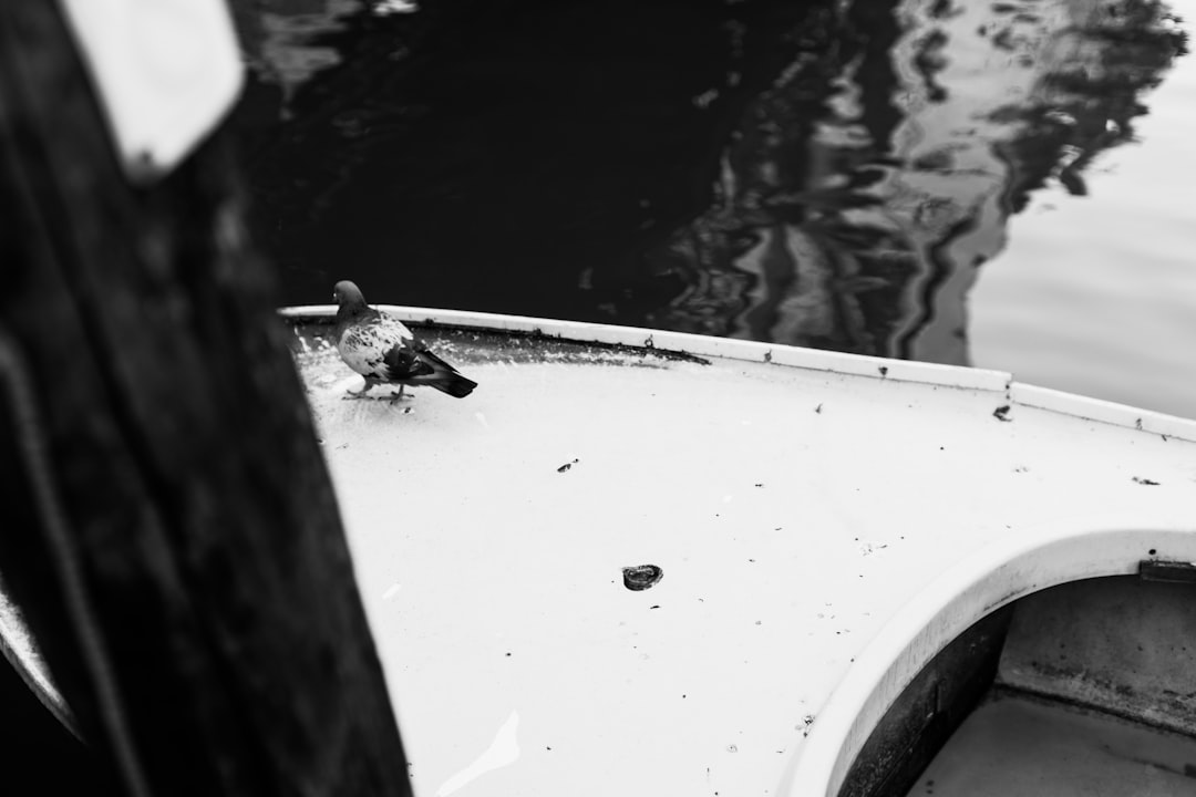 Profesyonel tesisatçı ekipmanları ile çalışıyor